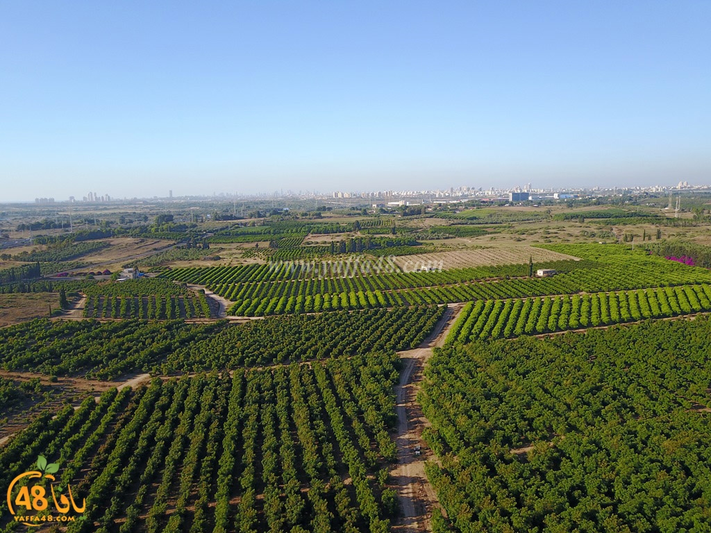 mokhayam hai2a (8).JPG